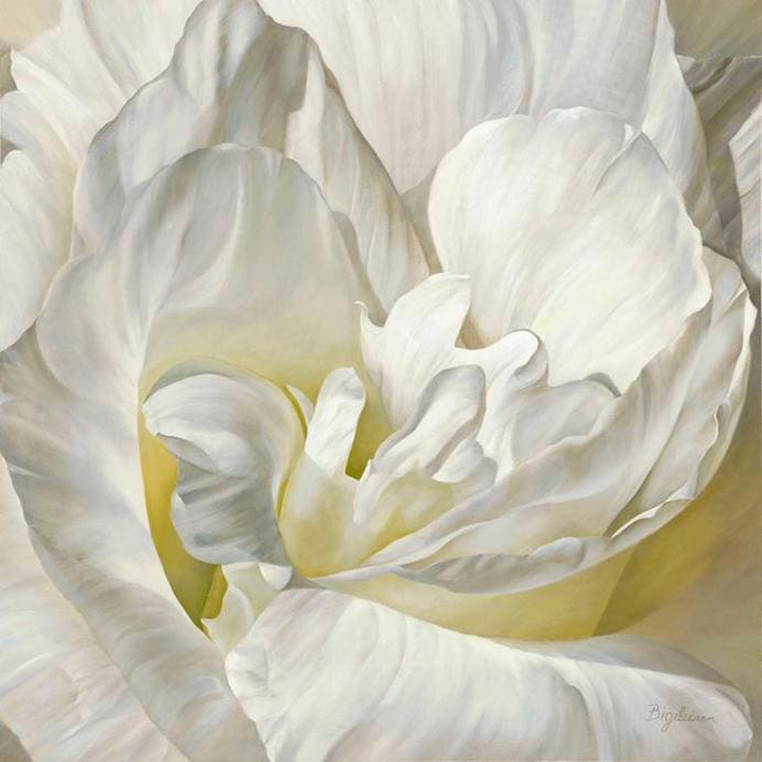 Close-up of a white flower with layered petals, showcasing intricate details and subtle shades of cream and yellow.