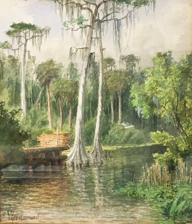 A serene forest scene with tall trees and a calm waterway, featuring a small wooden platform holding logs and a bird flying above.