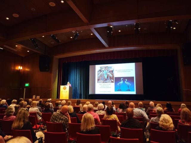 Audience seated in a theater, viewing a presentation on stage. The presenter is at a podium next to a large screen displaying images and text.