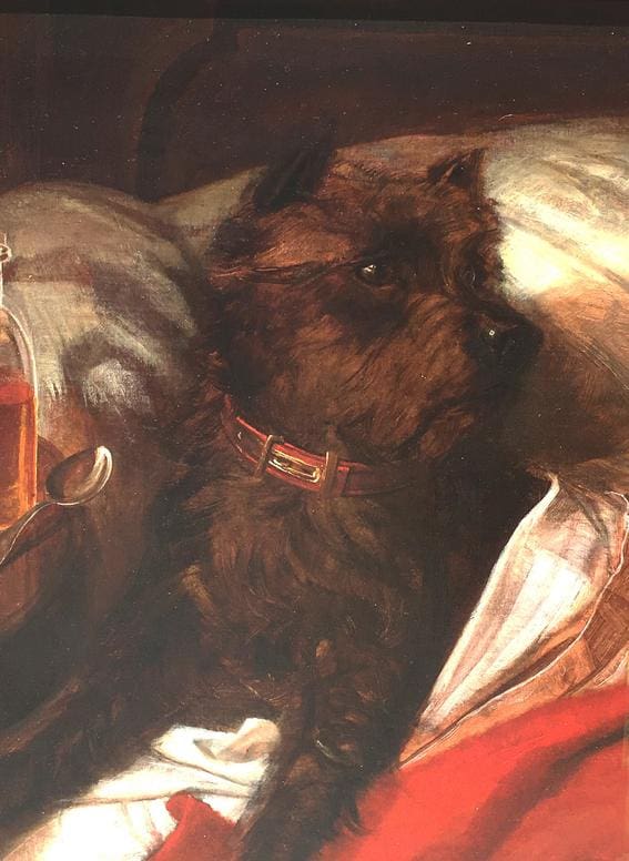 A painting of a small dark brown dog with a red collar lying on a bed with a white and red blanket. There is a glass bottle and spoon to the left.