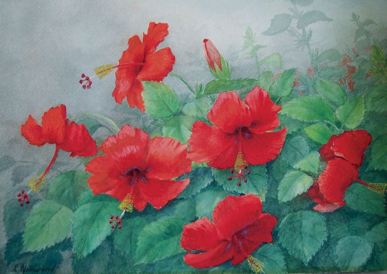 A watercolor painting of vibrant red hibiscus flowers with green leaves against a subtle gray background.